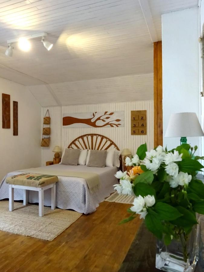 Chambres D'Hotes Le Casse Noixサルラ・ラ・カネダ エクステリア 写真